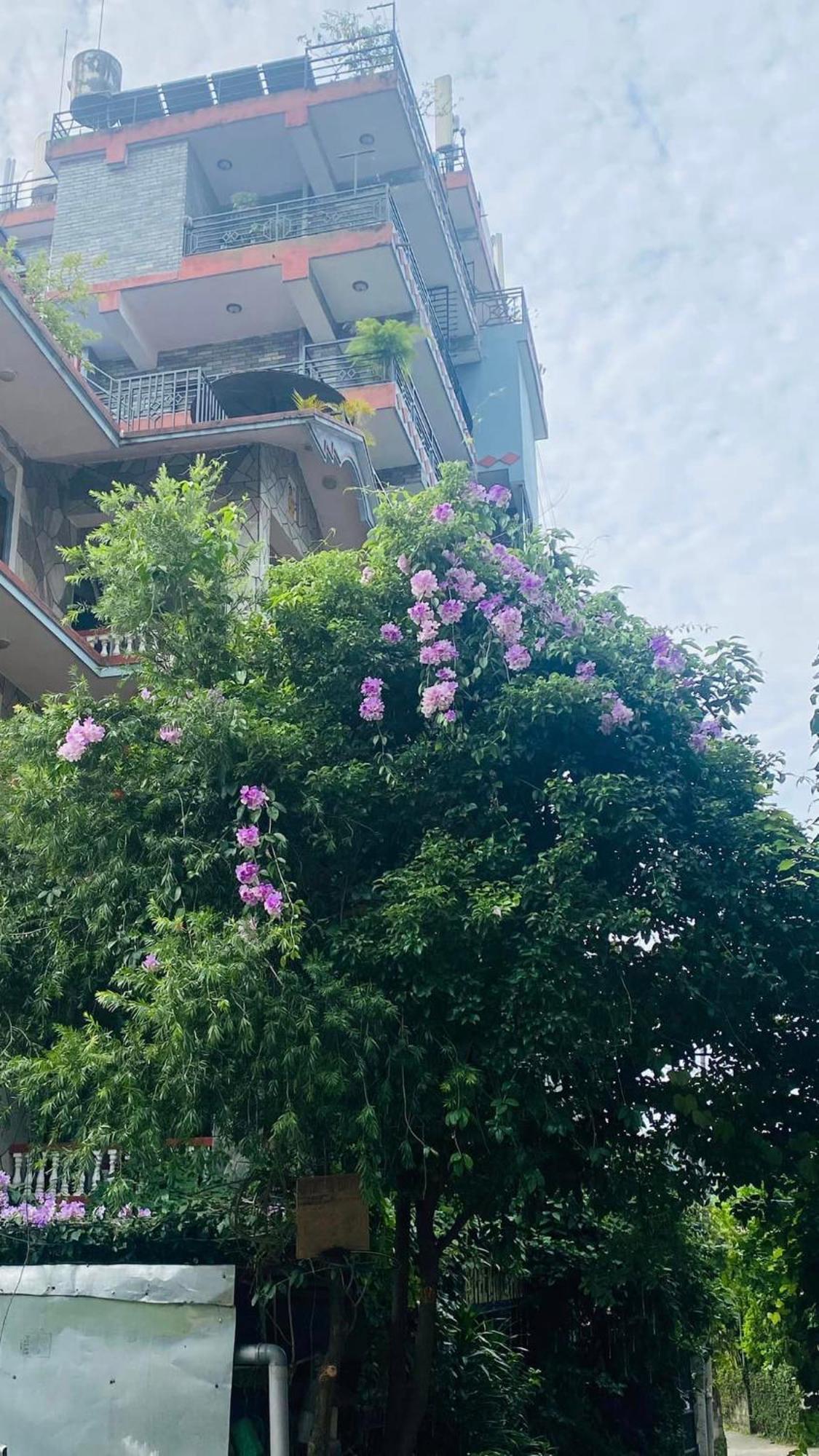 Hotel River Park Pokhara Eksteriør bilde